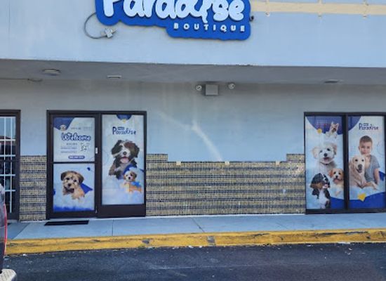 florida/everglades/shop/pet-paradise-boutique