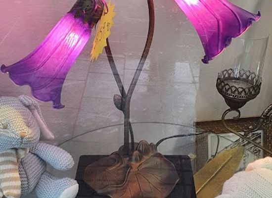 new-zealand/taranaki/shop/trick-or-treat-gifts