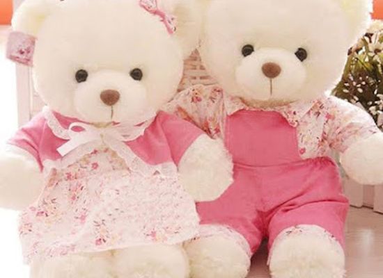 india/lucknow/shop/teddy-bear-shop