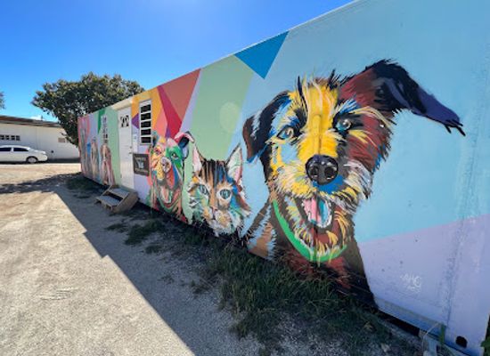 anguilla/north-hill/shop/pampered-pets-plus