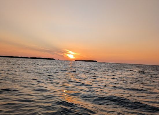 florida/honeymoon-island-state-park/shop/honeymoon-island