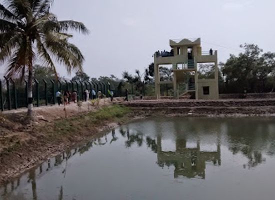 india/sundarbans/shop/netidhopani-watch-tower