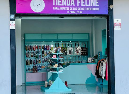 chile/coquimbo/shop/tienda-kirikat