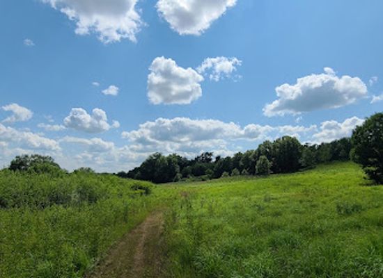 wisconsin/southern-wisconsin/shop/ice-age-trail-brooklyn-wildlife-segment