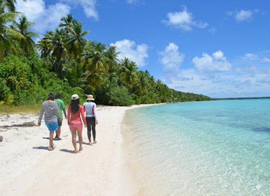 micronesia/kapingamarangi-atoll/shop/ant-atoll