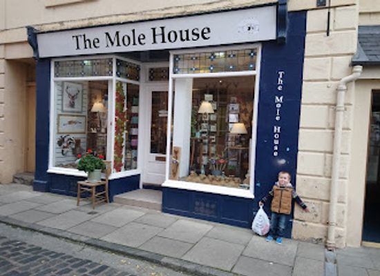 united-kingdom/roxburghshire/shop/the-mole-house