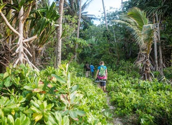 vanuatu/banks-islands/shop/sleeping-mountain-tour
