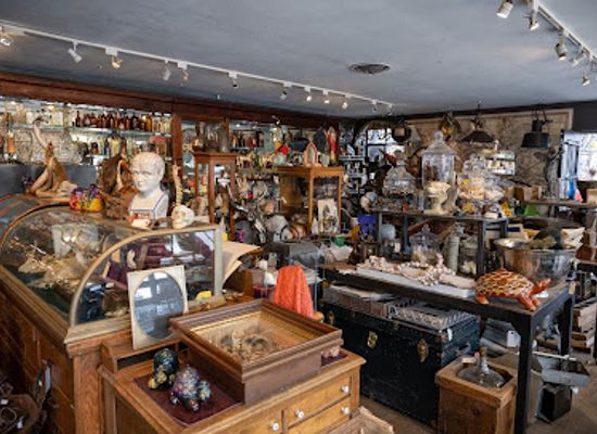colorado/denver/shop/the-oddemporium