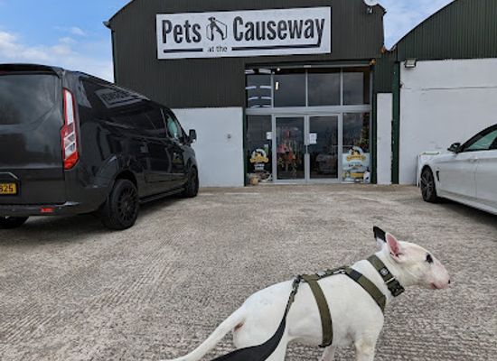 united-kingdom/giant's-causeway/shop/pets-at-the-causeway