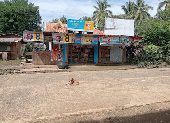 philippines/northern-mindanao/shop/flores-store