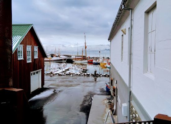 iceland/húsavík/shop/lokal-bistro