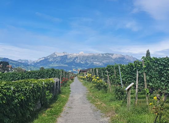 liechtenstein/princes-way/shop/cellars-of-the-prince-of-liechtenstein