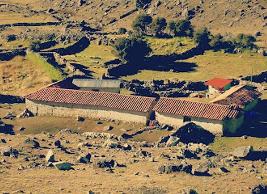 peru/ausangate-trek/shop/trek-vicunas-ausangate