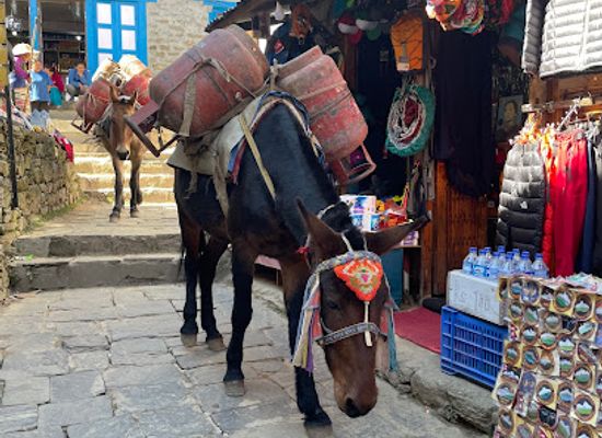 nepal/everest-base-camp/shop/everest-base-camp-trek