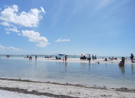 florida/honeymoon-island-state-park/shop/honeymoon-island-state-park-pet-beach