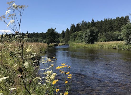 czechia/sumava/shop/jan-siman-muskareni-flyfishing-goflyfish-cz