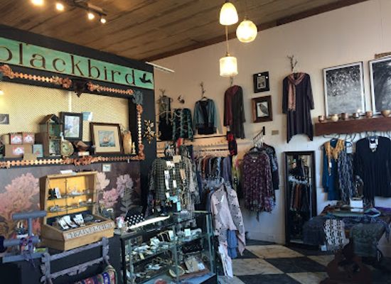 michigan/marquette/shop/blackbird-north