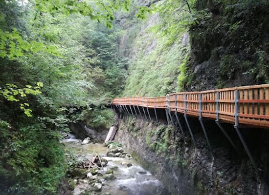 austria/eisenwurzen/shop/geodorf-gams