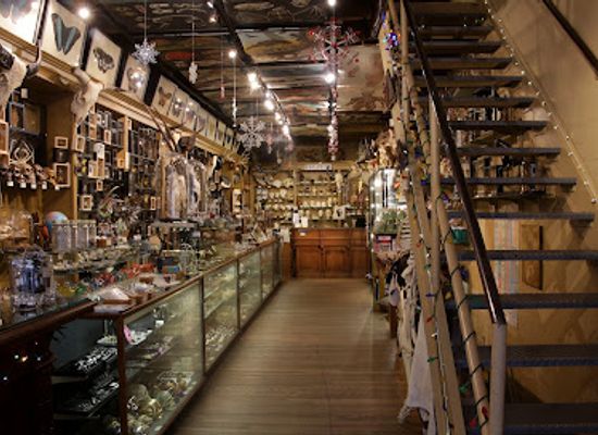 new-york/new-york-city/manhattan/shop/the-evolution-store