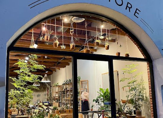 california/los-angeles/hollywood/shop/the-give-store