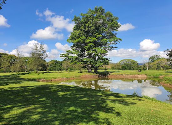 papua-new-guinea/gulf-province/shop/koitaki-country-club