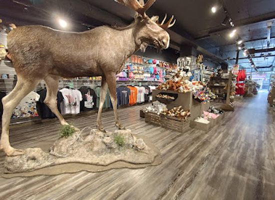 norway/northern-norway/shop/sami-shop