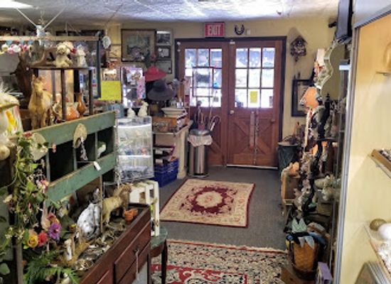 delaware/wilmington/shop/the-zeppelin-and-the-unicorn-antique-shop