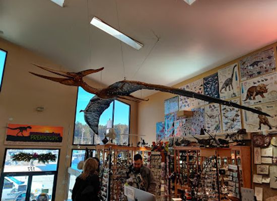 south-dakota/black-hills-national-forest/shop/everything-prehistoric