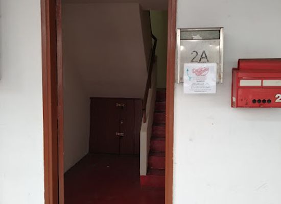 singapore/chinatown/tanjong-pagar/shop/dustbunny-vintage