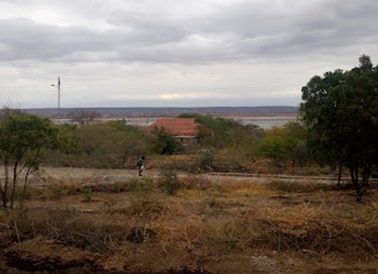 kenya/lake-magadi/shop/professor-wangari-maathai-park-magadi