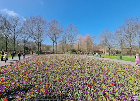 netherlands/keukenhof-gardens/shop/keukenhof