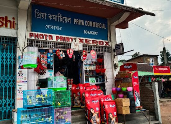 india/nagaland/shop/priya-commercial-pet-s-shop
