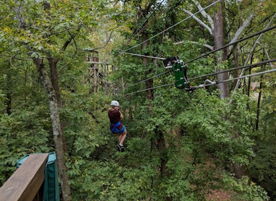 missouri/meramec-caverns/shop/caveman-zipline