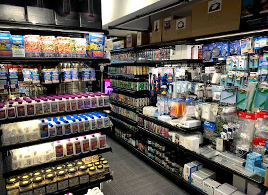 singapore/ang-mo-kio/shop/fresh-n-marine