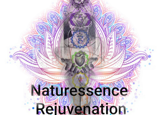 florida/santa-fe-river/shop/naturessence-rejuvenation-llc