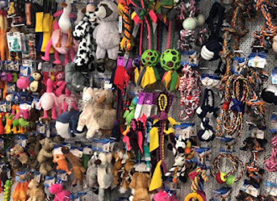 italy/versilia/shop/zoolandia-market-viareggio