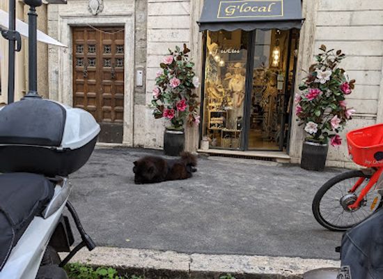 italy/lazio/shop/g-local-boutique