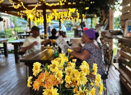 cook-islands/aitutaki/shop/avatea-cafe-aitutaki-place-to-eat-where-to-eat-aitutaki