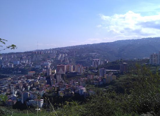 turkiye/trabzon/shop/bal-market