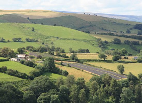 united-kingdom/powys/attraction/farmers-welsh-lavender-ltd