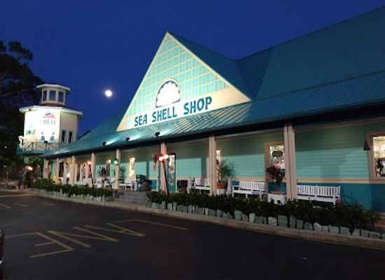 delaware/the-coastal-plain/shop/sea-shell-shop