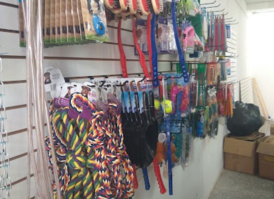 trinidad-and-tobago/sangre-grande/shop/d-outdoor-shop