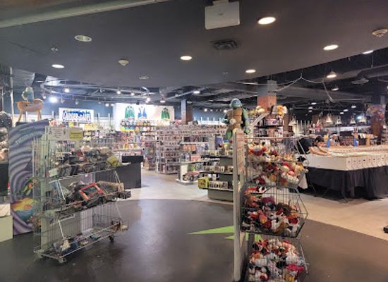 new-york/syracuse/shop/larger-than-life-destiny-mall