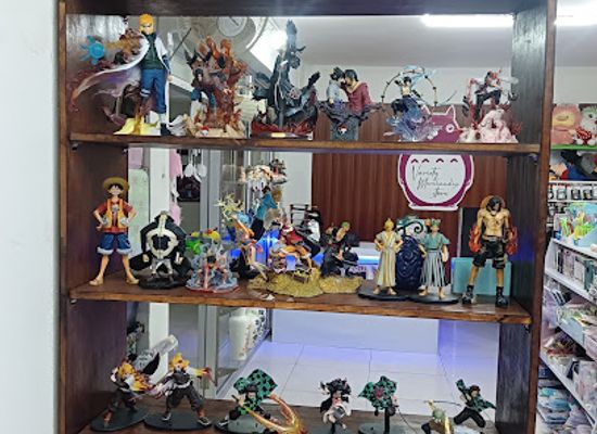 india/nagaland/shop/variety-merchandise