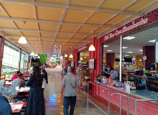 malaysia/cameron-highlands/shop/big-red-strawberry-farm
