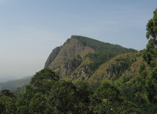 sri-lanka/ella/shop/ella-daya-gap
