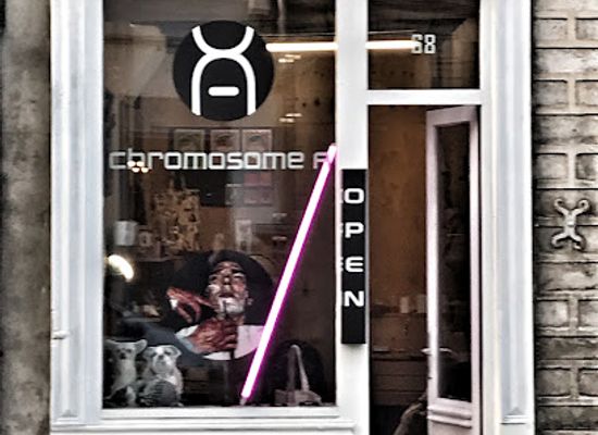 france/lille/shop/chromosome-a