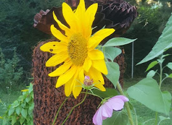 austria/innsbruck/igls/shop/last-dress-organic-urn