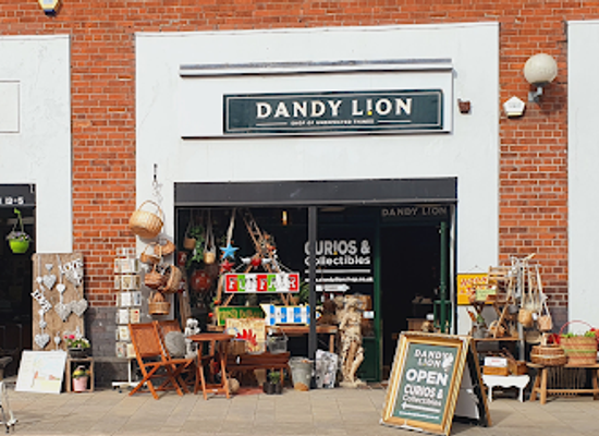 united-kingdom/belfast/shop/dandy-lion-shop