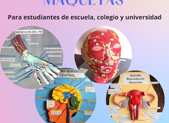 ecuador/loja-region/shop/maquetas-loja